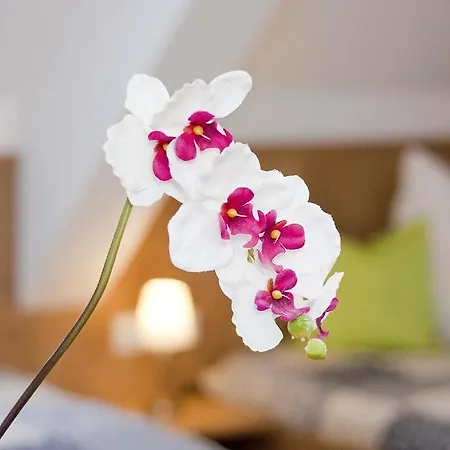 Ferienwohnung Wanner Saulingstr. Apartment